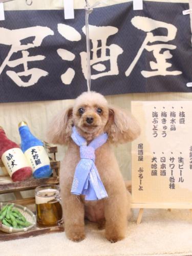 20240608メルちゃん